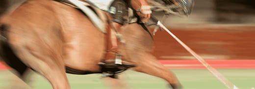 The History of Polo in Hong Kong