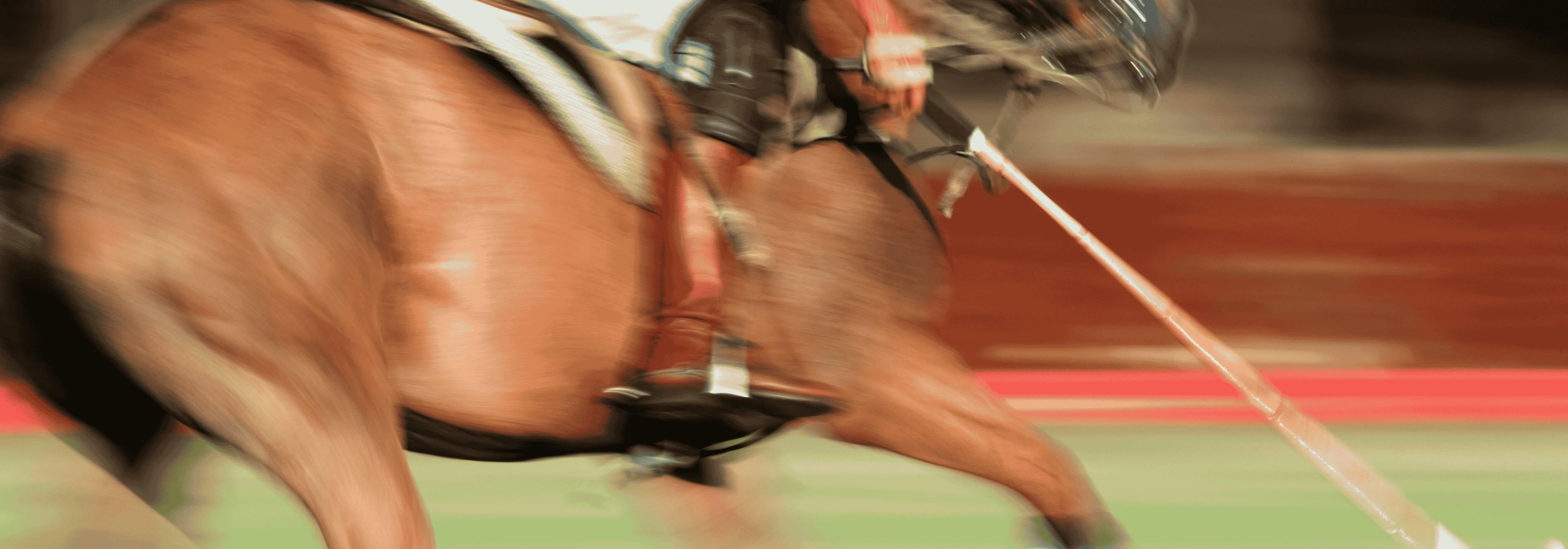 A close up of a polo pony going at full speed in a match
